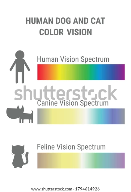 jakie kolory widzą koty? na jaki kolor widzą psy? wykres